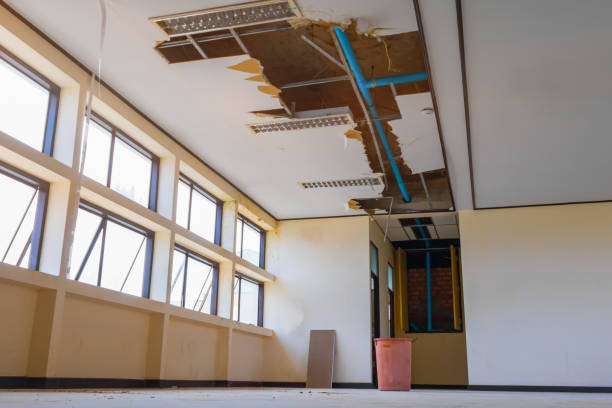 Best Flood restoration services  in West Pensacola, FL