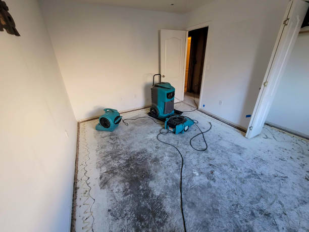 Best Carpet water damage restoration  in West Pensacola, FL