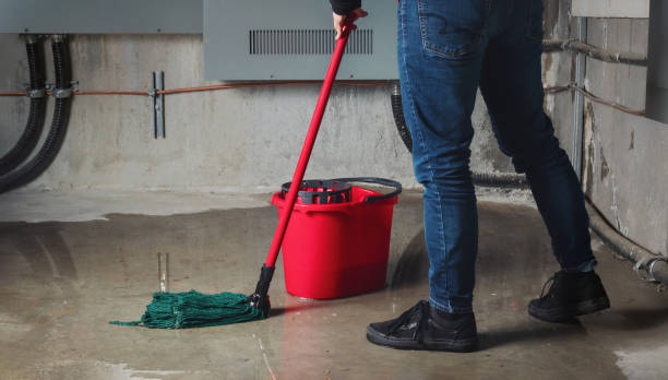 Best 24-hour water damage restoration  in West Pensacola, FL