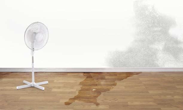 Best Flood restoration services  in West Pensacola, FL